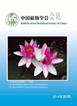 2010年第2期