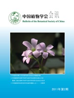 2011年第2期
