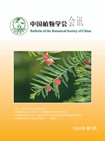 2009年第3期