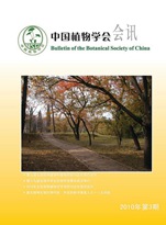 2010年第3期