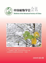 2009年第4期
