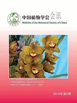 2010年第4期