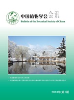 2013年第1期