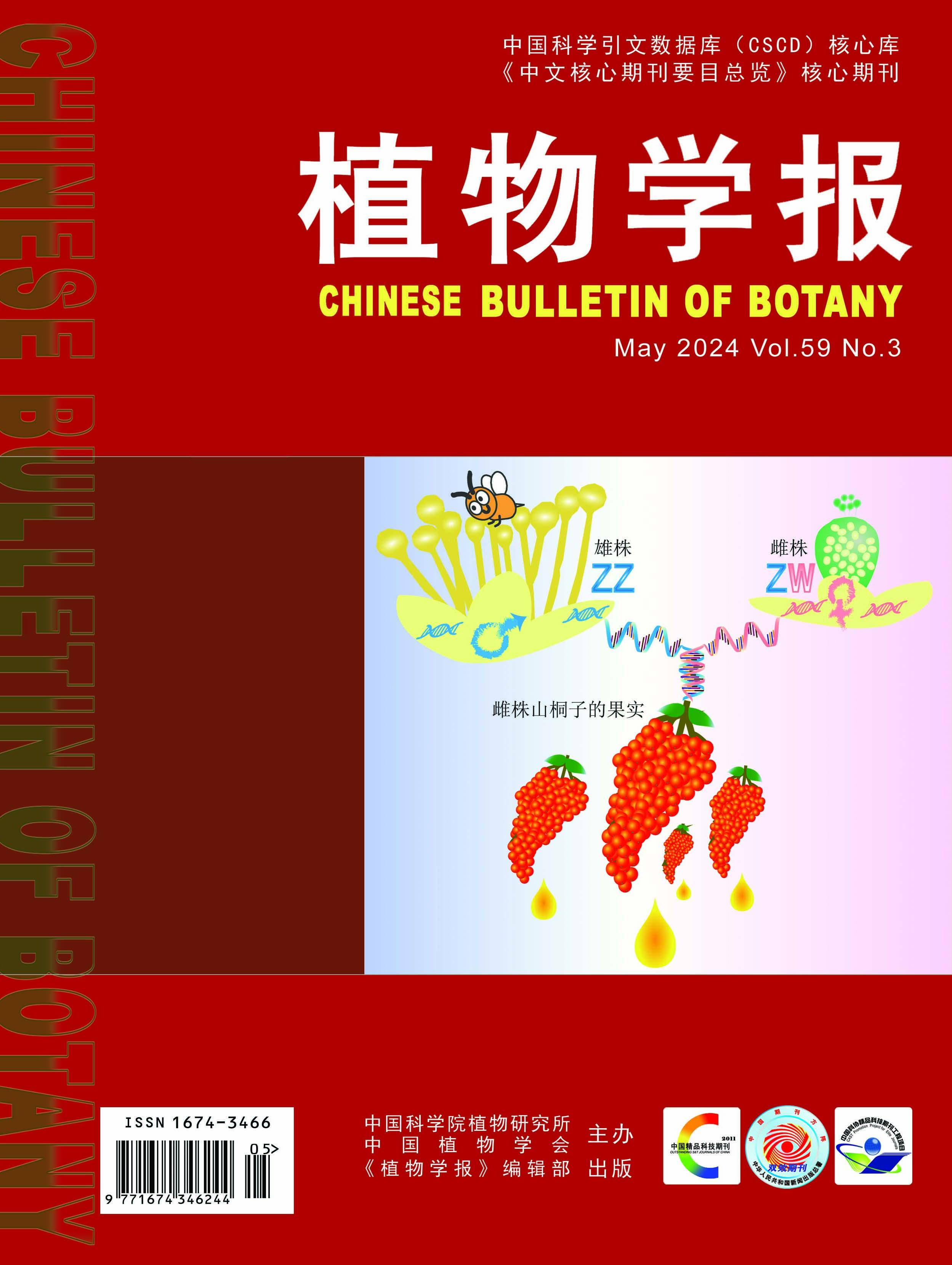 主编：王雷